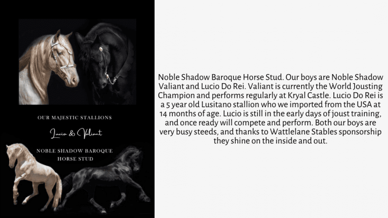 Sponsored Rider - Noble Baroque
