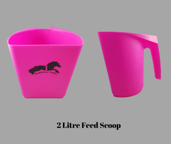 2L Feed Scoop